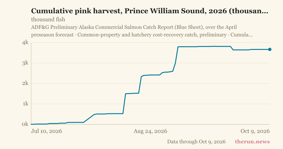 prince-william-sound-salmon-harvest-2026-the-run
